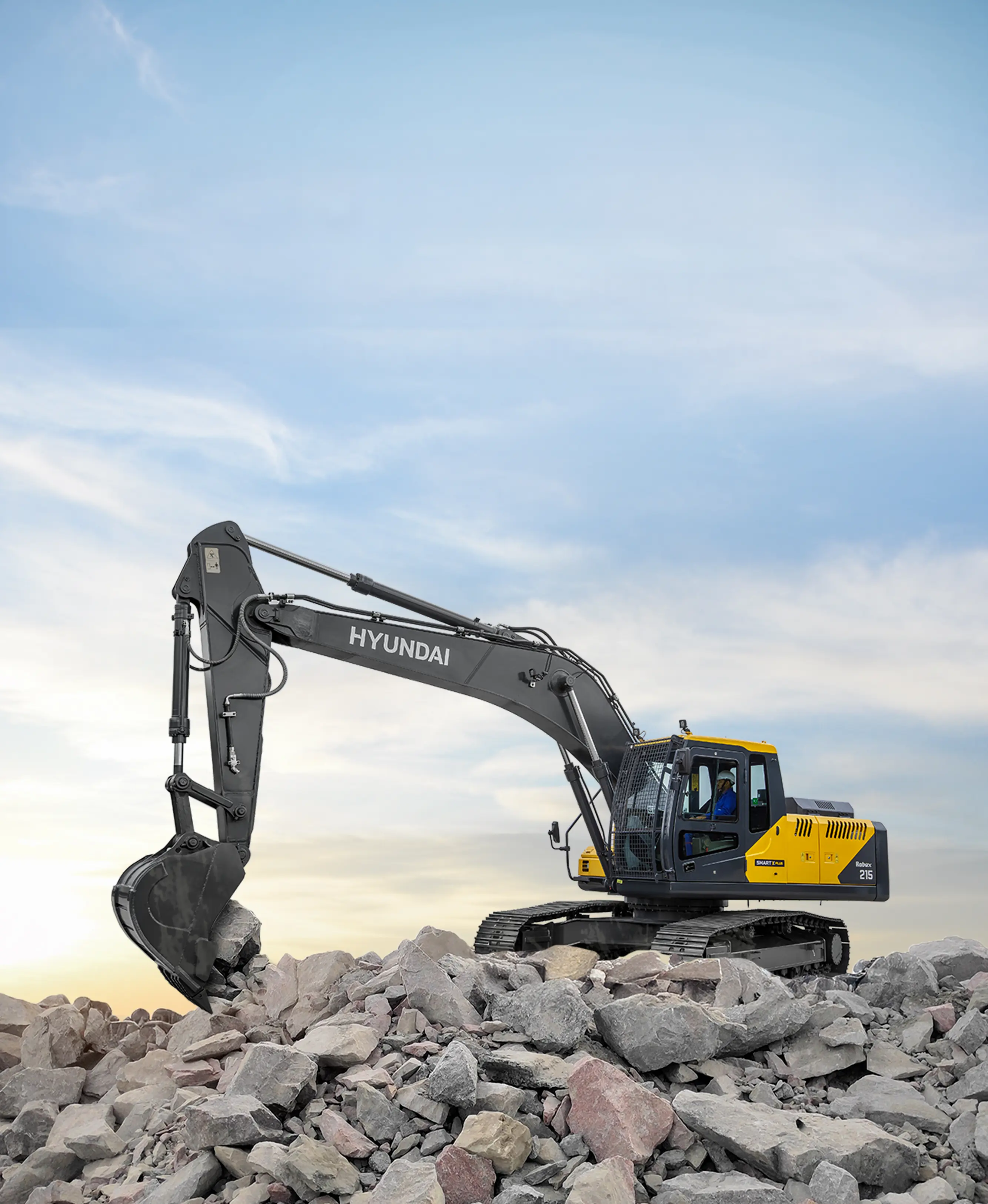 Hydraulic Excavators rental in Lifting Equipment category